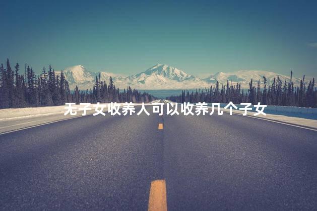 无子女收养人可以收养几个子女