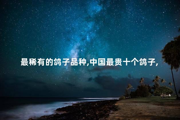 最稀有的鸽子品种，中国最贵十个鸽子