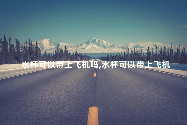 水杯可以带上飞机吗，水杯可以带上飞机吗保温