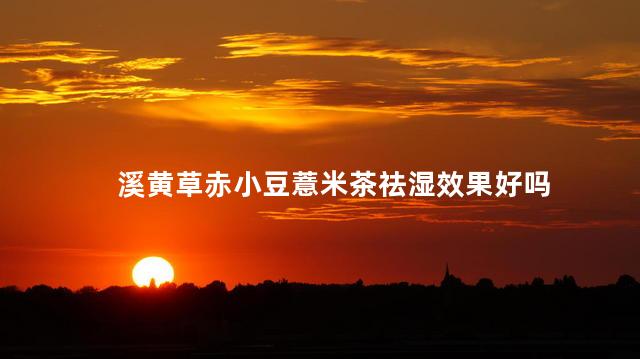 溪黄草赤小豆薏米茶祛湿效果好吗