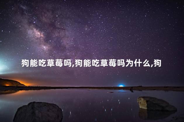 狗能吃草莓吗，狗能吃草莓吗为什么
