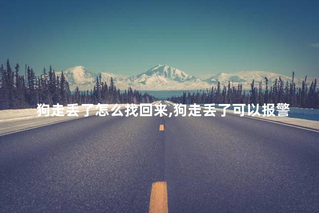 狗走丢了怎么找回来，狗走丢了可以报警受理吗