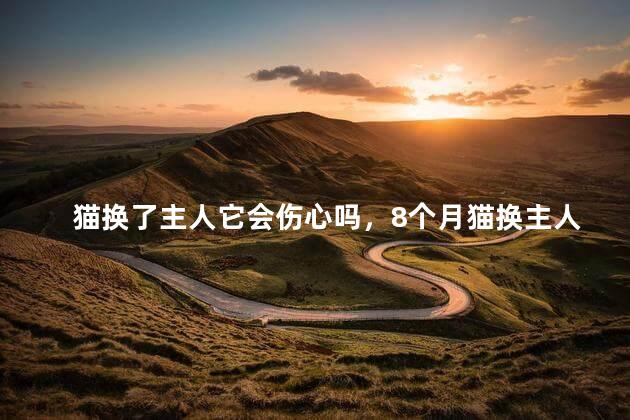 猫换了主人它会伤心吗，8个月猫换主人会伤心吗