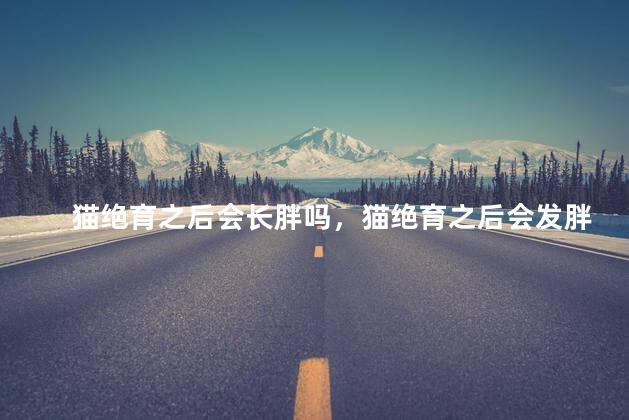 猫绝育之后会长胖吗，猫绝育之后会发胖吗