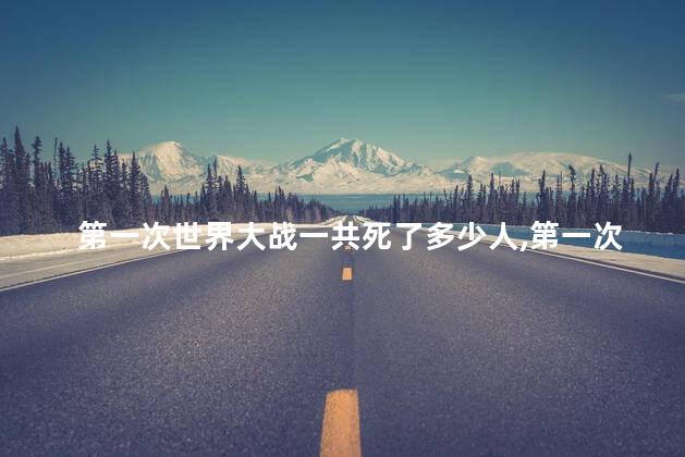 第一次世界大战一共死了多少人，第一次世界大战一共死了多少人口