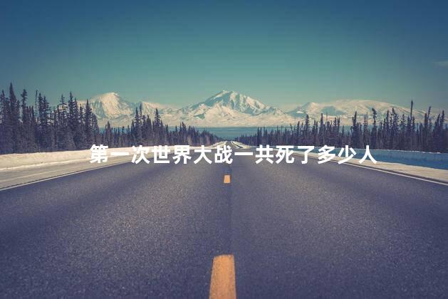 第一次世界大战一共死了多少人