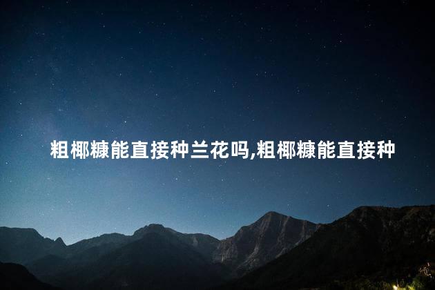 粗椰糠能直接种兰花吗，粗椰糠能直接种兰花吗