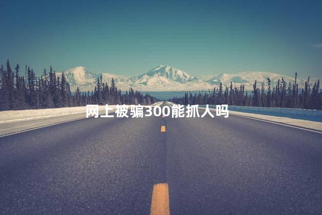 网上被骗300能抓人吗，网上被骗300元警察管么