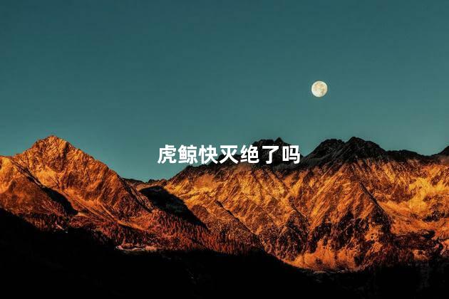 虎鲸快灭绝了吗