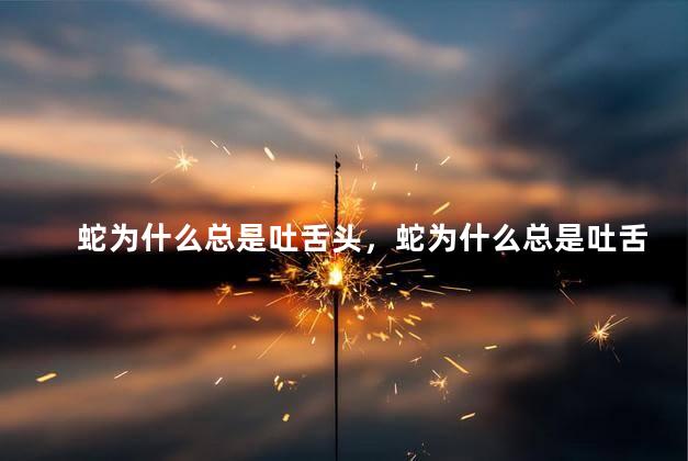 蛇为什么总是吐舌头，蛇为什么总是吐舌头秒懂