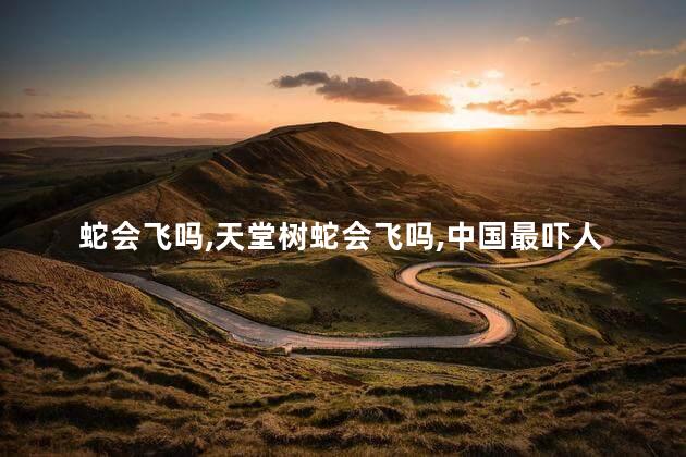 蛇会飞吗，天堂树蛇会飞吗