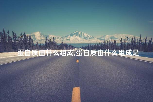 蛋白质由什么组成，蛋白质由什么组成是构成什么的基本物质