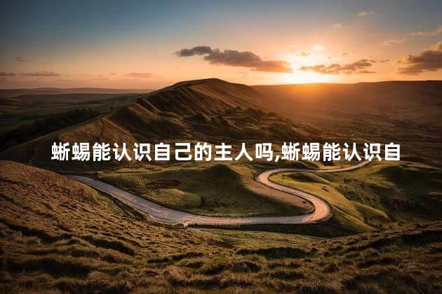 蜥蜴能认识自己的主人吗，蜥蜴能认识自己的主人吗