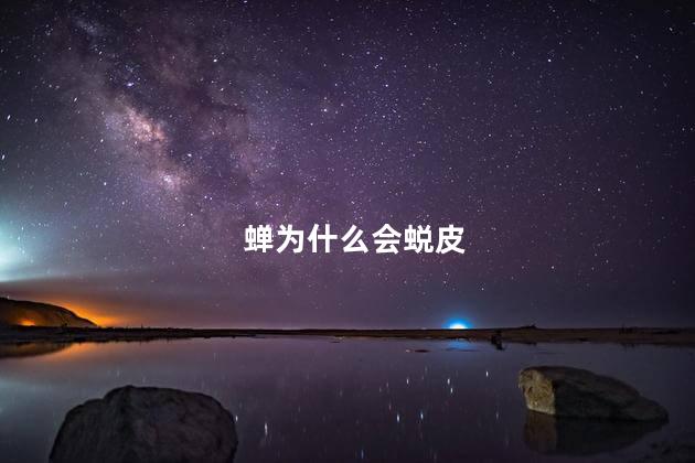 蝉为什么会蜕皮