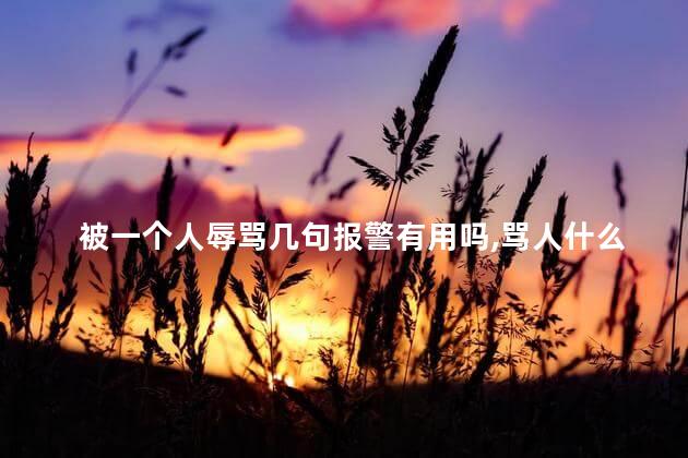 被一个人辱骂几句报警有用吗，骂人什么程度才达到拘留条件