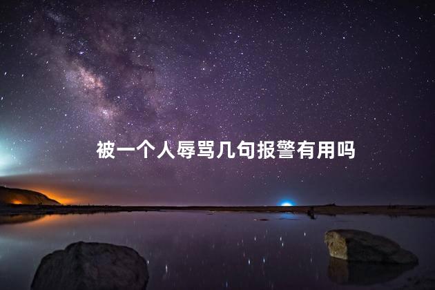 被一个人辱骂几句报警有用吗
