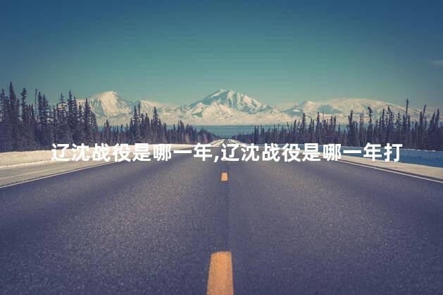 辽沈战役是哪一年，辽沈战役是哪一年打的