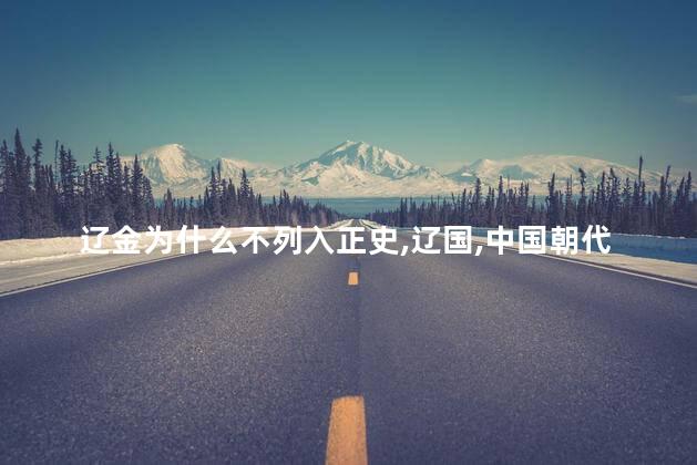 辽金为什么不列入正史，辽国