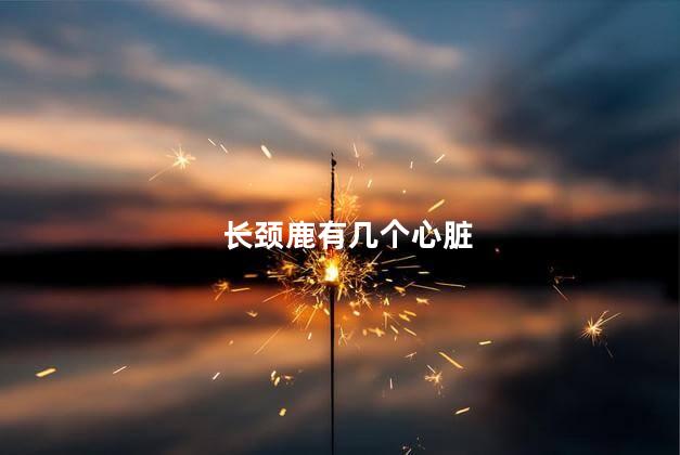长颈鹿有几个心脏