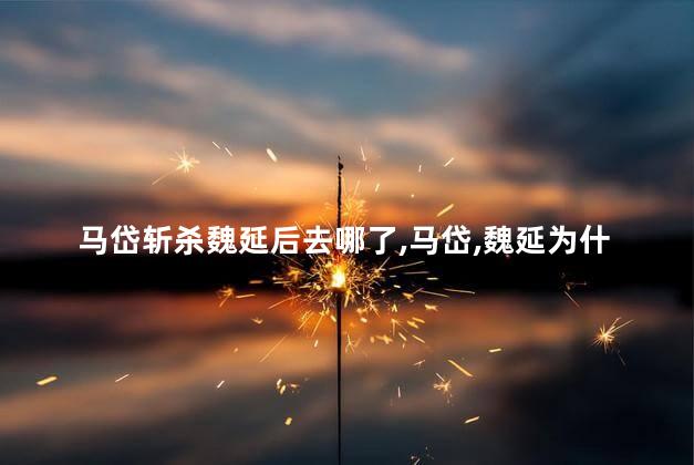 马岱斩杀魏延后去哪了，马岱