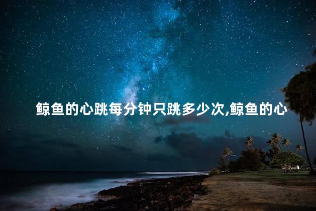鲸鱼的心跳每分钟只跳多少次，鲸鱼的心跳一分钟多少下