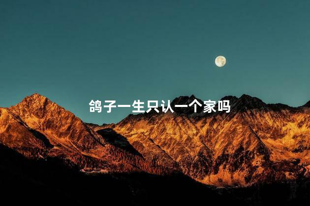 鸽子一生只认一个家吗