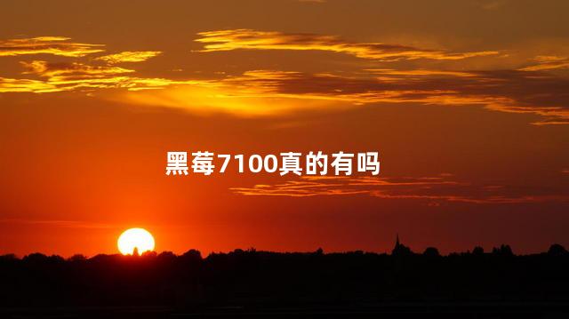 黑莓7100真的有吗